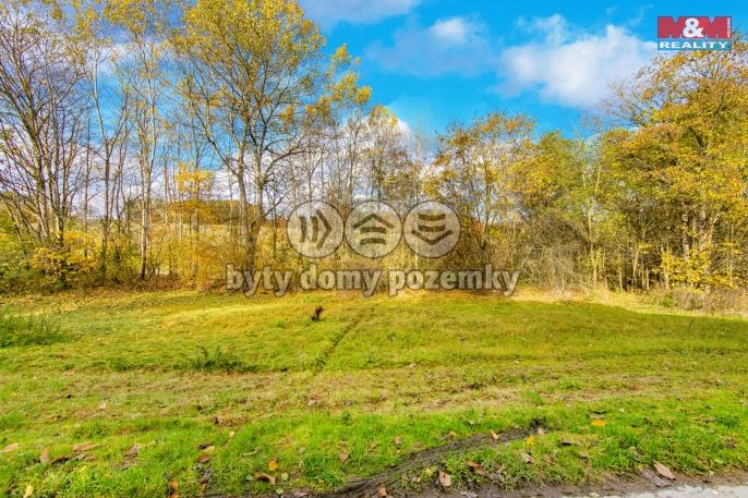 Prodej, Louka, Konstantinovy Lázně