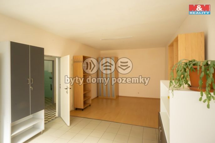 Prodej, Výrobní objekt, Boršice