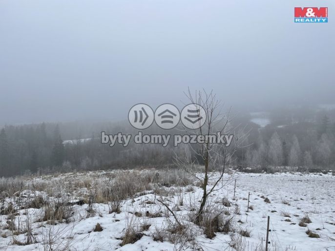 Prodej, Les, Železný Brod