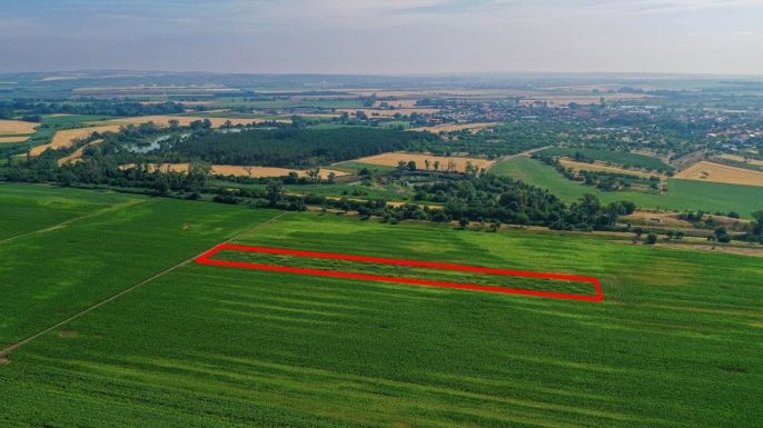 Prodej, Pole, Podivín
