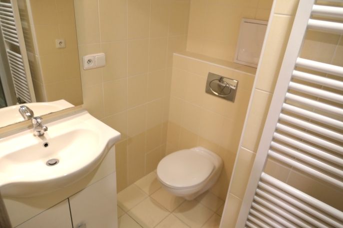 Pronájem, Byt 1+kk, Beroun