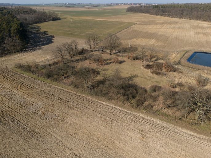 Prodej, Les, Tuřice