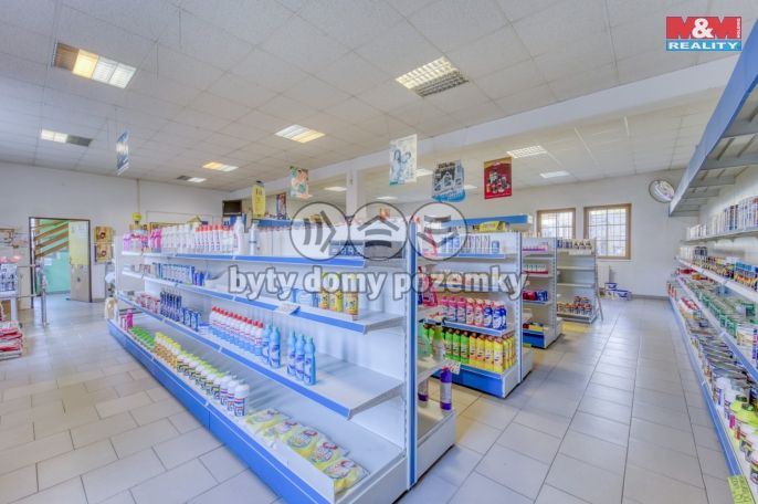 Pronájem, Obchod a služby, Bor