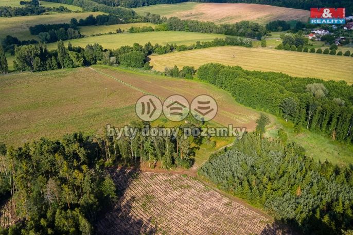 Prodej, Ovocný sad, Morašice