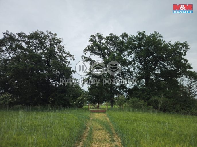 Prodej, Les, Tuřice