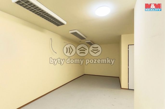 Pronájem, Obchod a služby, Slaný