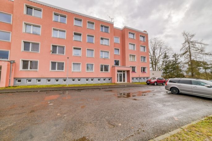 Prodej, Byt 1+1, Planá