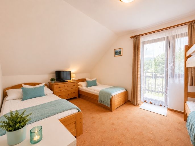 Prodej, Hotel, penzion, Nová Pec