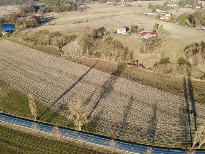 Prodej, Louka, Bošín