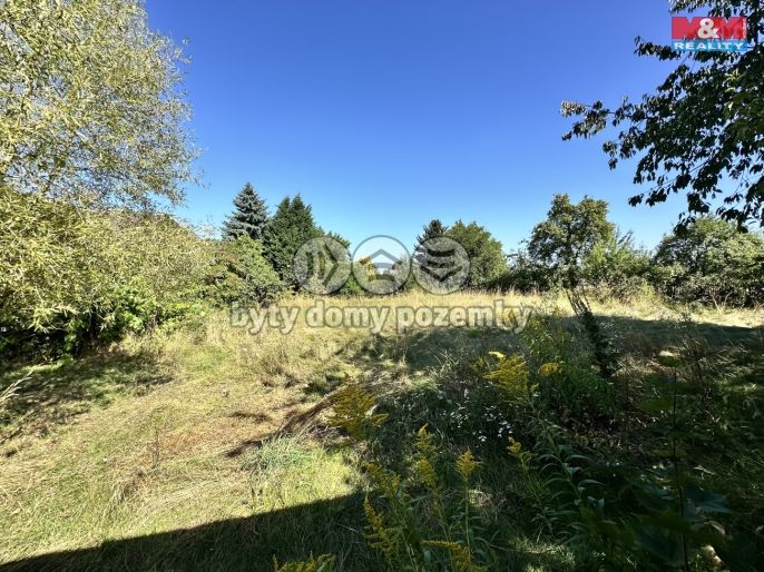 Pronájem, Zahrada, Dražice