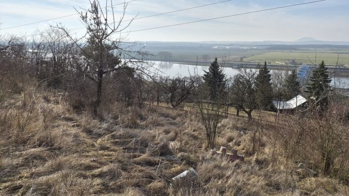 Prodej, Zahrada, Štětí