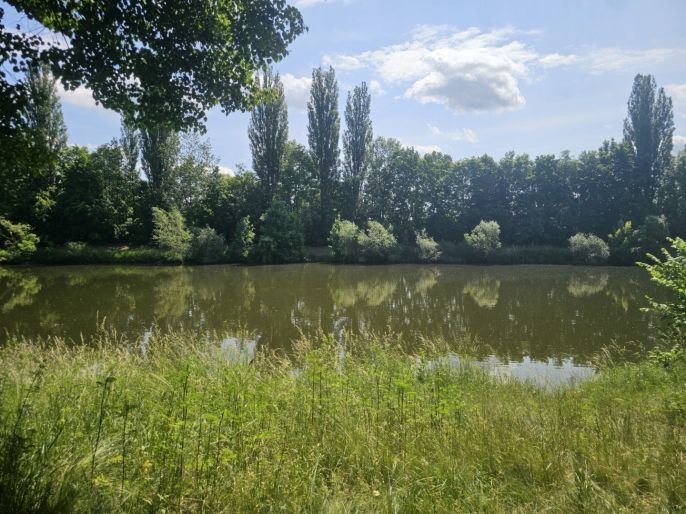 Prodej, Louka, Hradec Králové