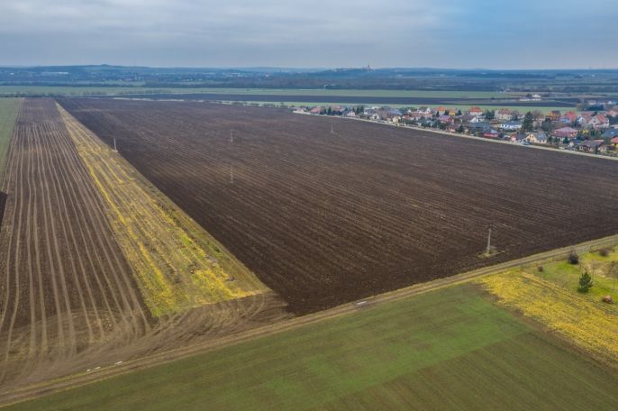 Prodej, Pole, Cítov