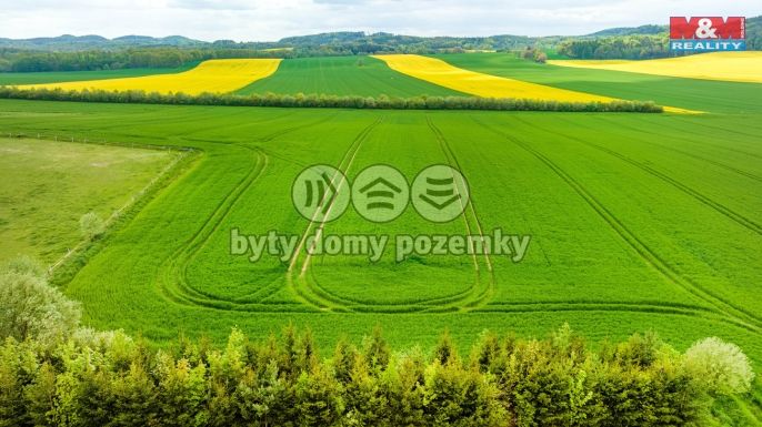 Prodej, Pozemek k bydlení, Tachov