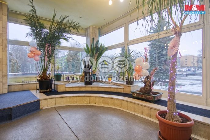 Pronájem, Obchod a služby, Karviná