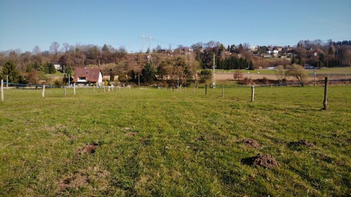 Prodej, Louka, Turnov