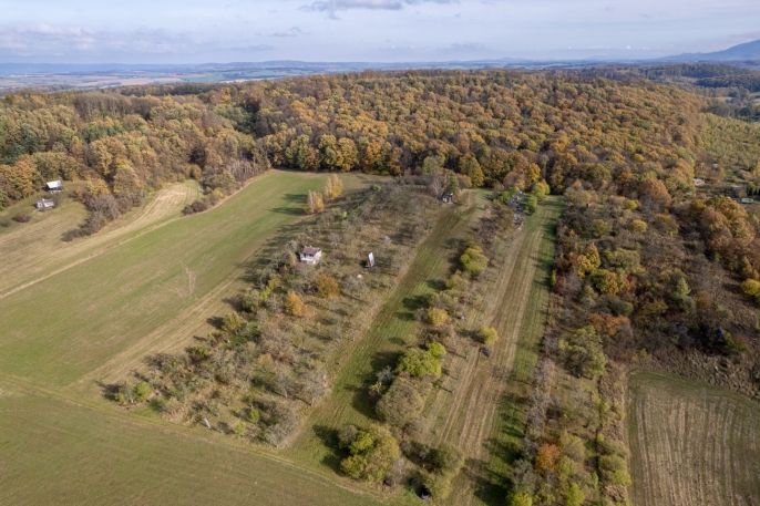 Prodej, Ovocný sad, Kostelec u Holešova