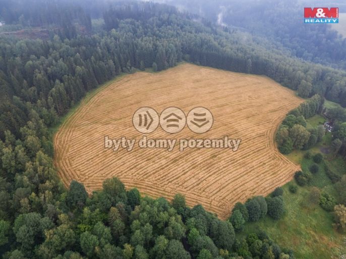 Prodej, Ostatní, Aš