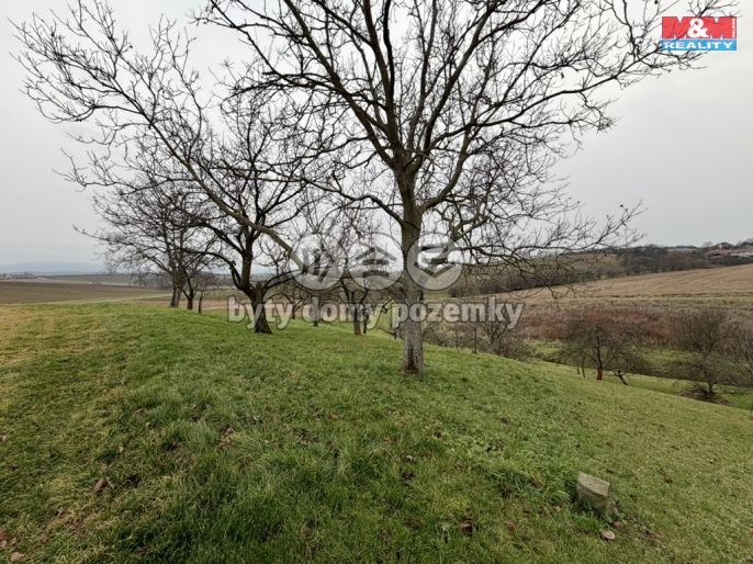 Prodej, Zahrada, Bezuchov