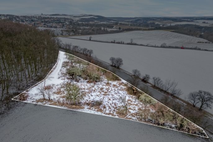 Prodej, Zahrada, Pchery