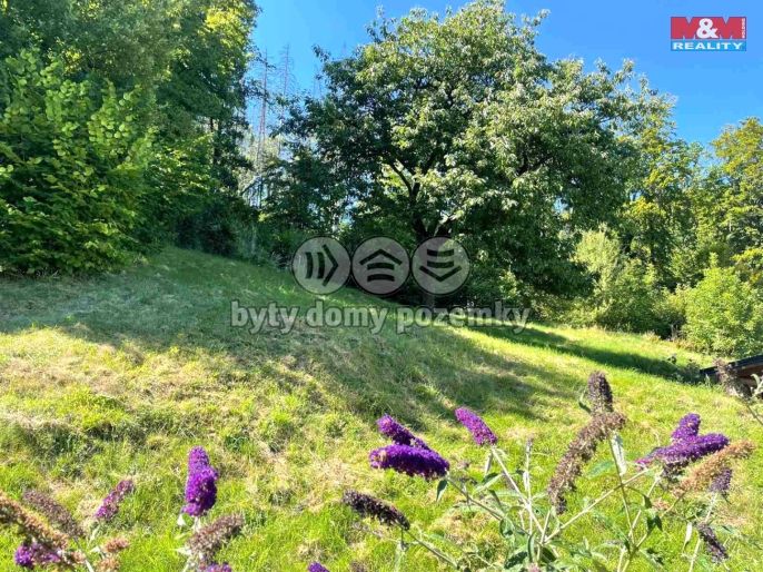 Prodej, Chalupa, Slunečná