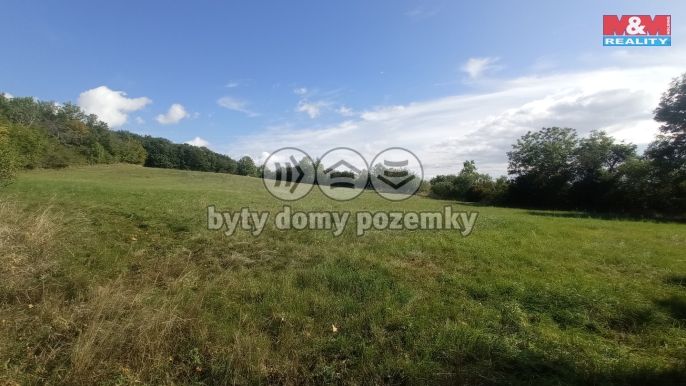 Prodej, Louka, Jenčice