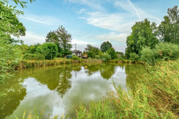 Prodej, Komerční pozemky, Cheb