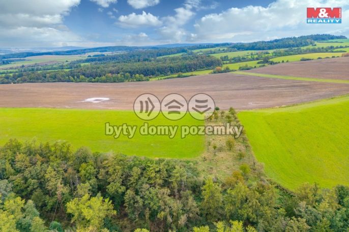 Prodej, Louka, Spálené Poříčí