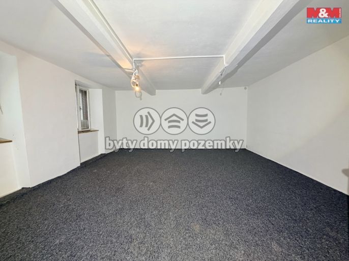 Prodej, Rodinný dům, Starý Petřín