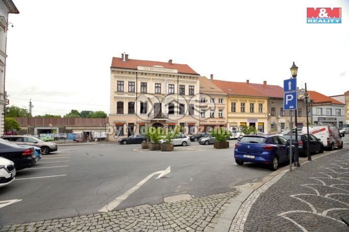 Prodej, Rodinný dům, Roudnice nad Labem