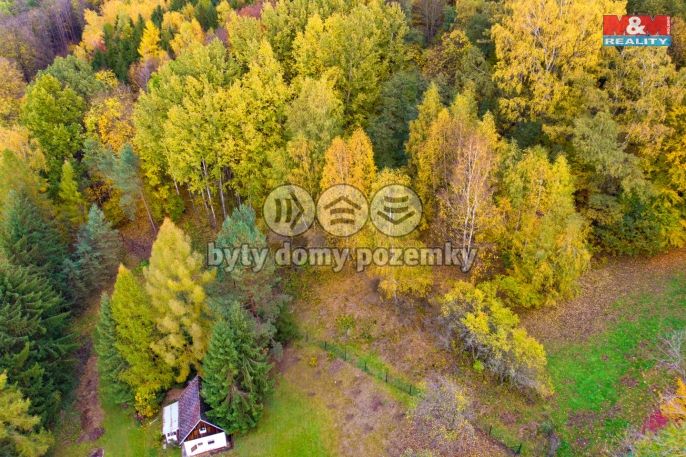 Prodej, Les, Skalice u České Lípy