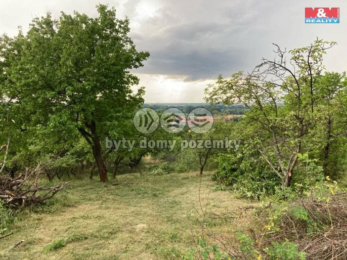 Prodej, Chata, Pohořelice