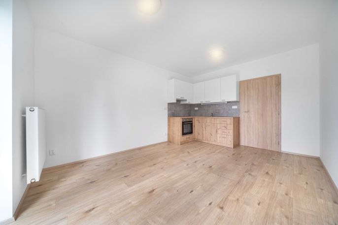 Pronájem, Byt 1+kk, Třemošná