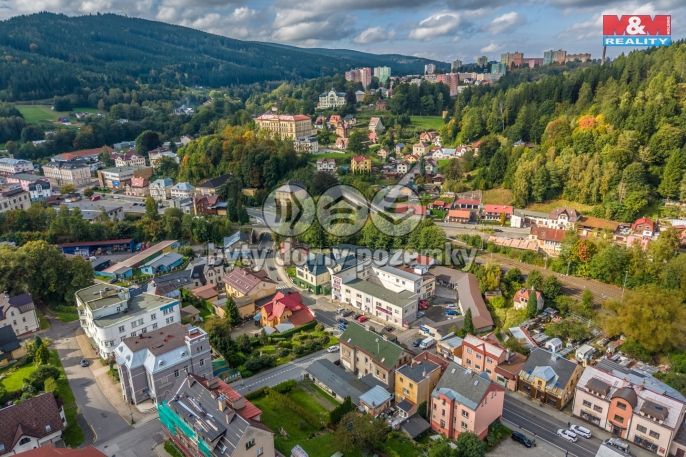 Prodej, Obchod a služby, Tanvald