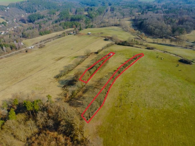 Prodej, Pole, Kladruby