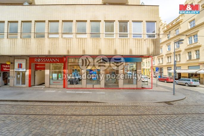 Pronájem, Restaurace, stravování, Plzeň