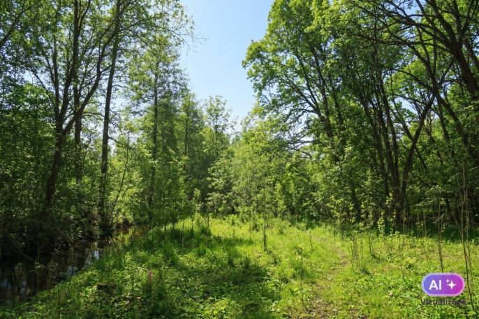 Prodej, Les, Snědovice