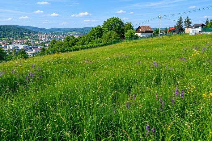 Prodej, Pozemek k bydlení, Ústí nad Labem