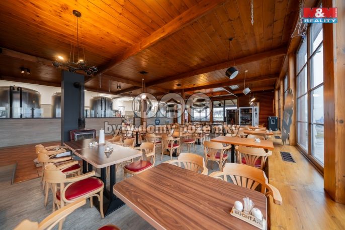 Pronájem, Restaurace, stravování, Olomouc