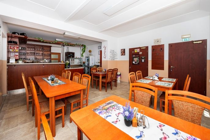 Prodej, Hotel, penzion, Brandýs nad Orlicí