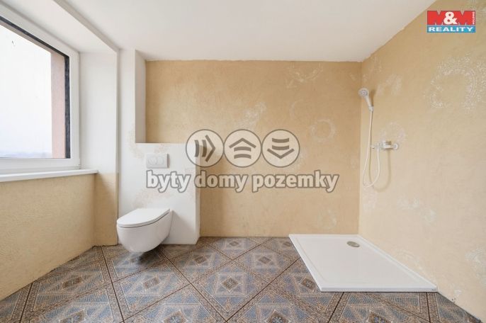 Prodej, Rodinný dům, Přísnotice