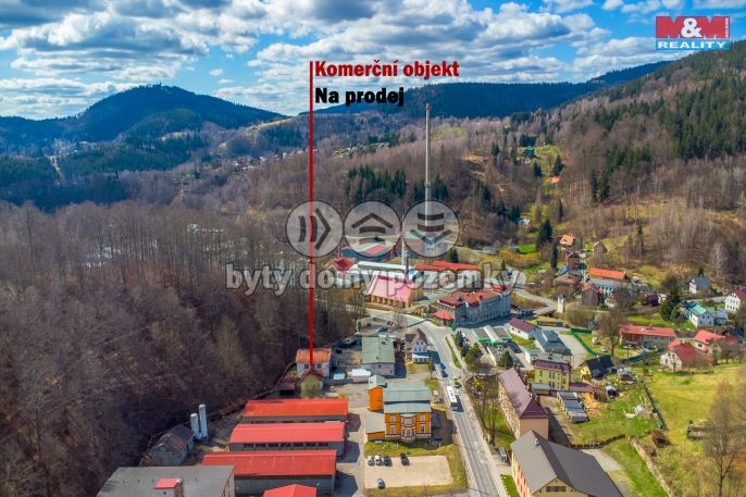 Prodej, Výrobní objekt, Desná