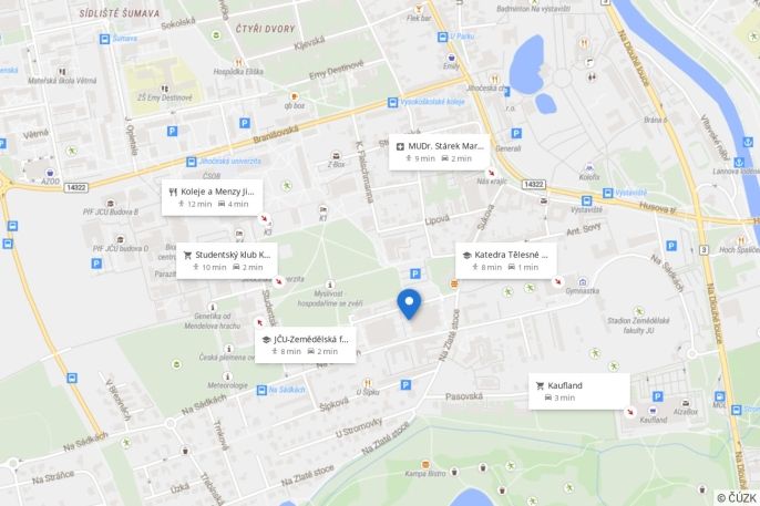 Pronájem, Byt 2+kk, České Budějovice