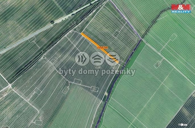 Prodej, Pole, Hrušky