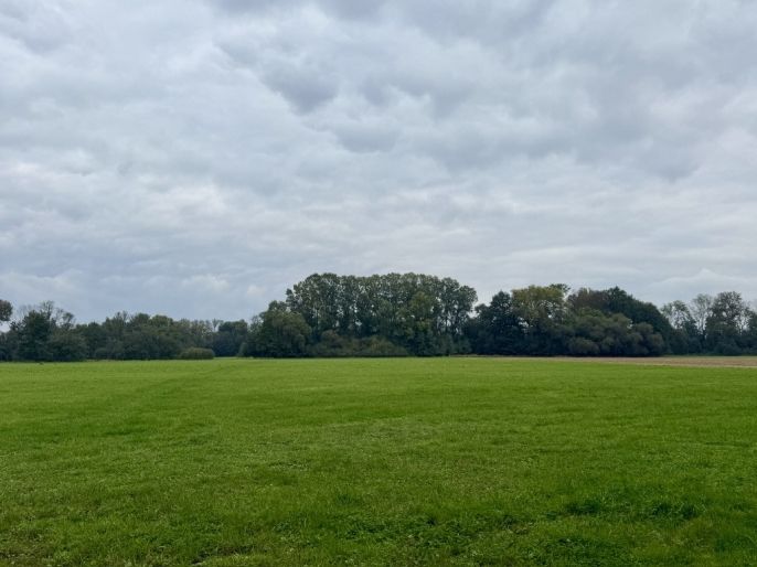 Prodej, Pole, 31896 m², Slavětín nad Metují