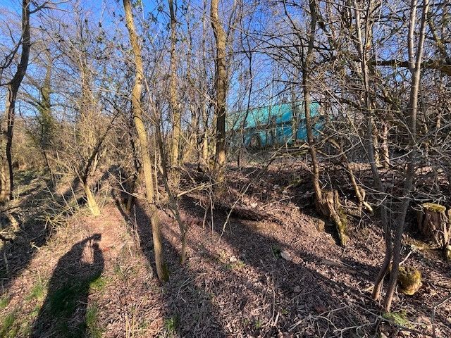 Prodej, Pozemek k bydlení, Škvorec