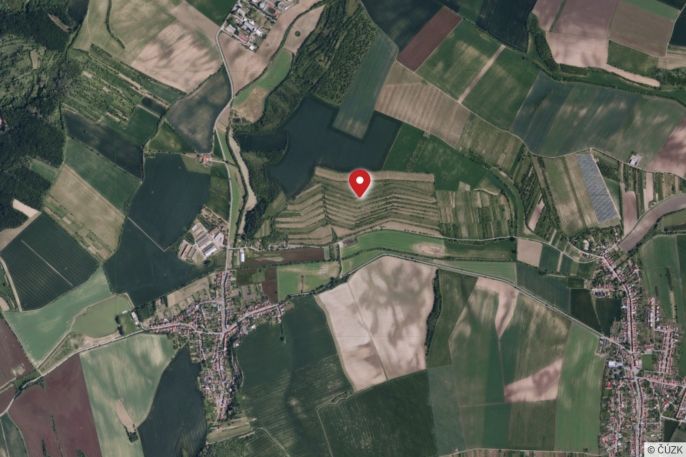 Prodej, Vinice, Morkůvky