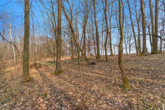 Prodej, Les, Slatiny