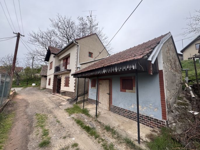 Prodej, Vinný sklep, Velké Bílovice