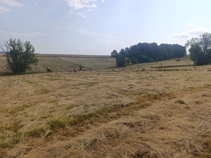 Pronájem, Zemědělský objekt, Hrádek nad Nisou